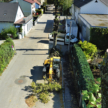 Gartengestaltung