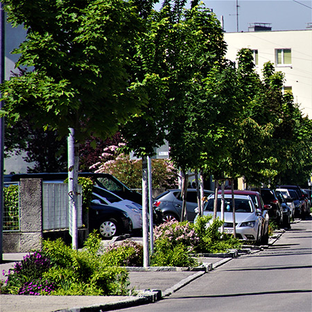 Gartengestaltung